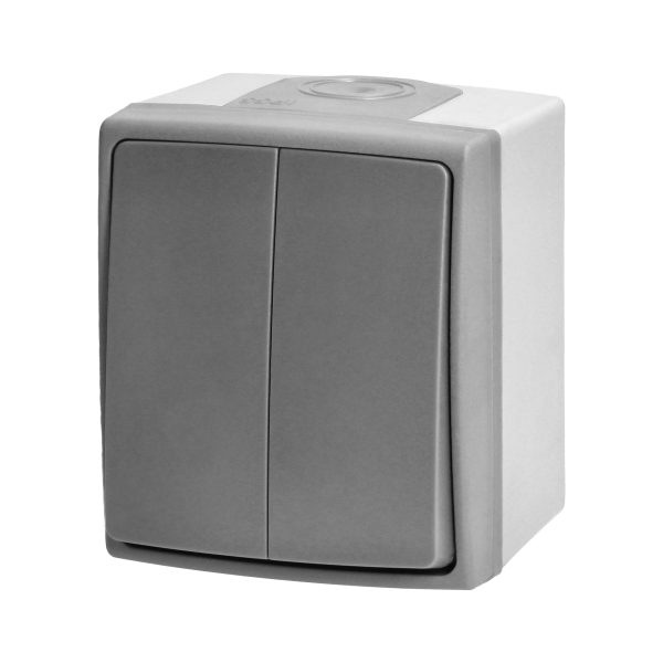 AQUATIC PRO IP 55 Two-button switch, grey/graphite