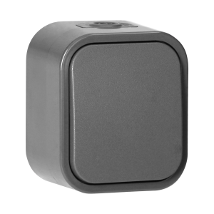 Łącznik n/t jednobiegunowy B2, 10A, 250V, IP54, WNT-1B2, szary