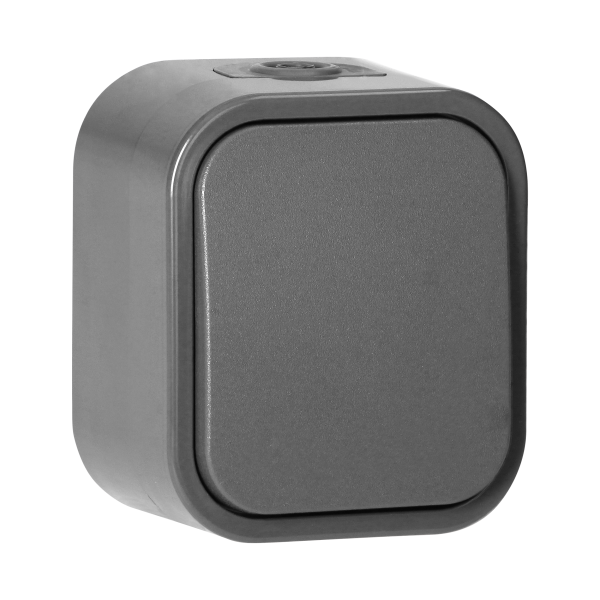 Surface-mounted single-pole switch B2, 10A, 250V, IP54, WNT-1B2, gray