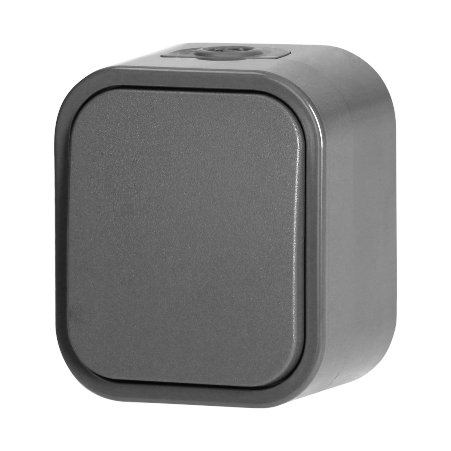 Surface-mounted single-pole switch B2, 10A, 250V, IP54, WNT-1B2, gray