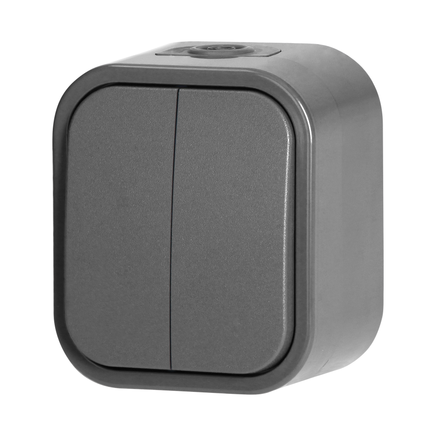 Surface-mounted two-button switch B2, 10A, 250V, IP54, WNT-2B2, gray