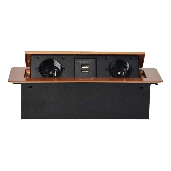 Recessed furniture sockets in a housing with a flat edge and USB charger, 2x2P+E, 2xUSB, gold