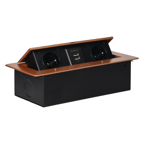 Recessed furniture sockets in a housing with a flat edge and USB charger, 2x2P+E, 2xUSB, gold