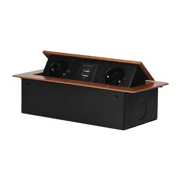 Recessed furniture sockets in a housing with a flat edge and USB charger, 2x2P+E (Schuko), 2xUSB, gold