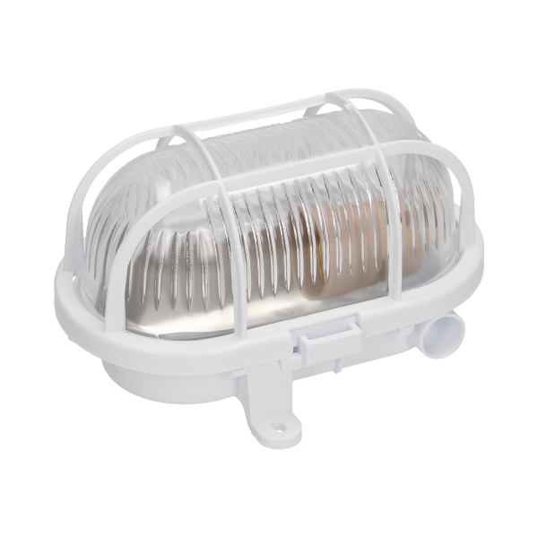 AUSTRUL, oprawa oświetleniowa, 60W, E27, IP54, klosz szklany, osłona plastikowa