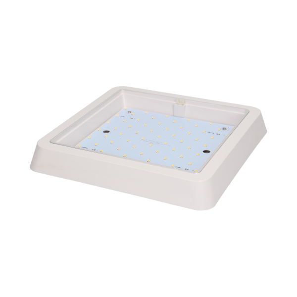 Plafon TONGA LED 12W