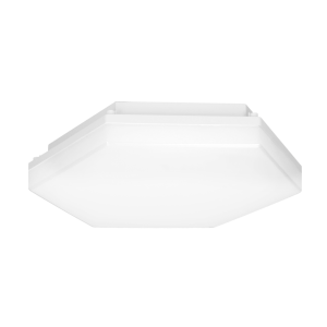 PATY LED wall and ceiling light, 24W