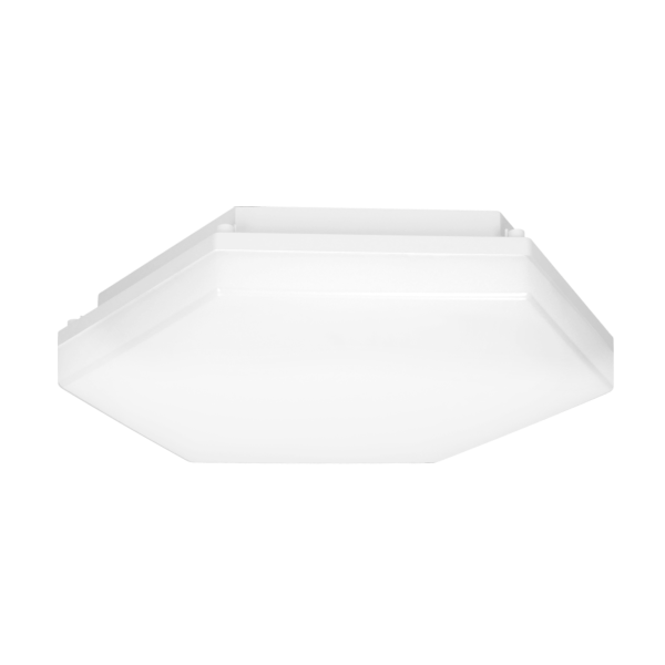 PATY LED wall and ceiling light, 24W