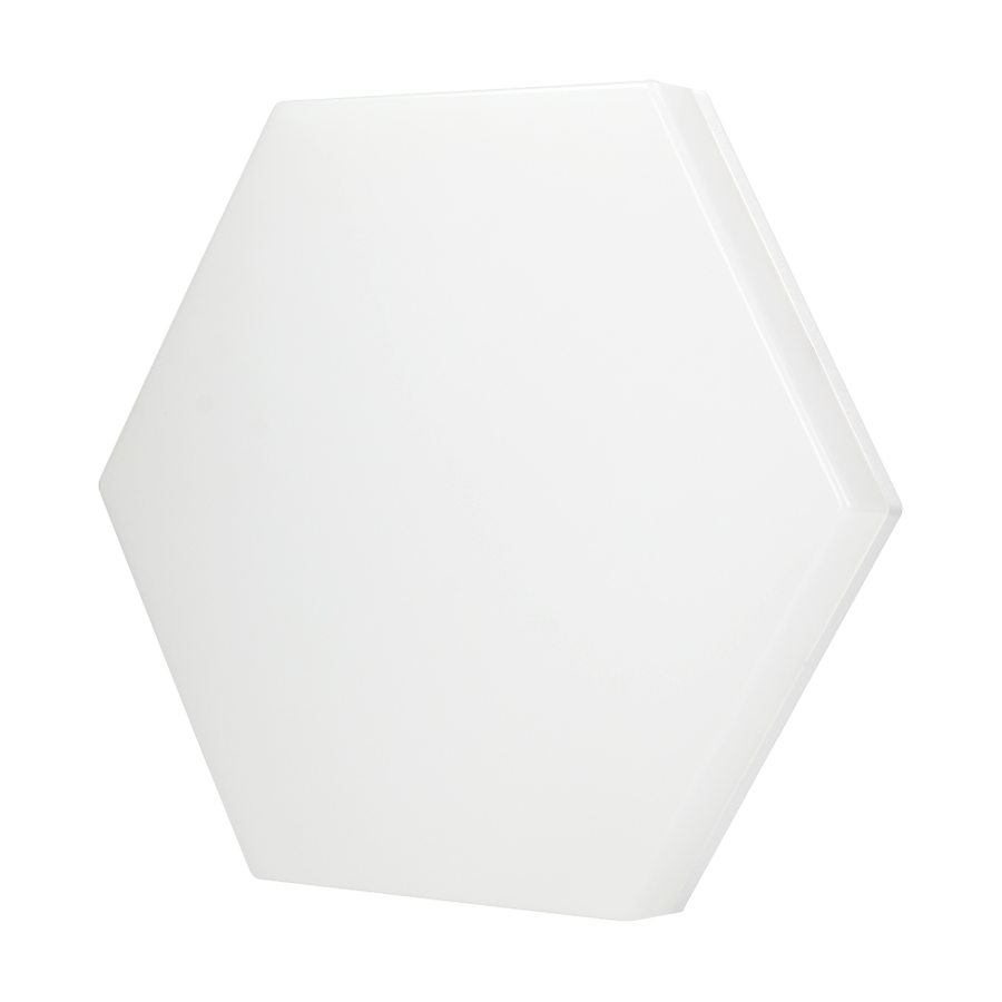 PATY LED wall and ceiling light, 24W