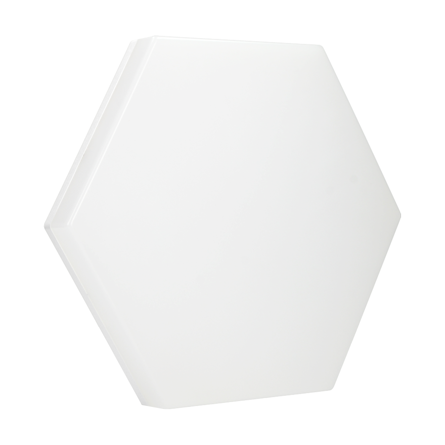 PATY LED wall and ceiling light, 24W