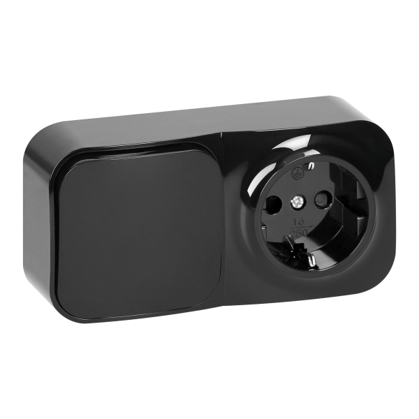 Surface-mounted single-pole switch + Single socket ToDo, IP20, 2P+E, Schuko, black, 10 pcs.